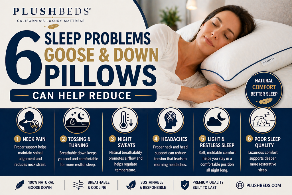 6 Sleep Problems Goose and Down Pillows can Help Reduce
