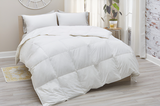 Organic Cotton Comforter Buying Guide