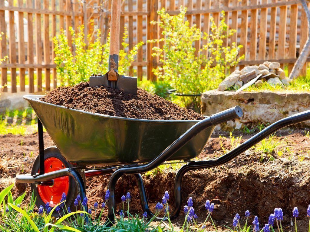 What is Eco Friendly Landscaping? - PlushBeds