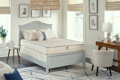 Healthy Child Hybrid Mattress - PlushBeds