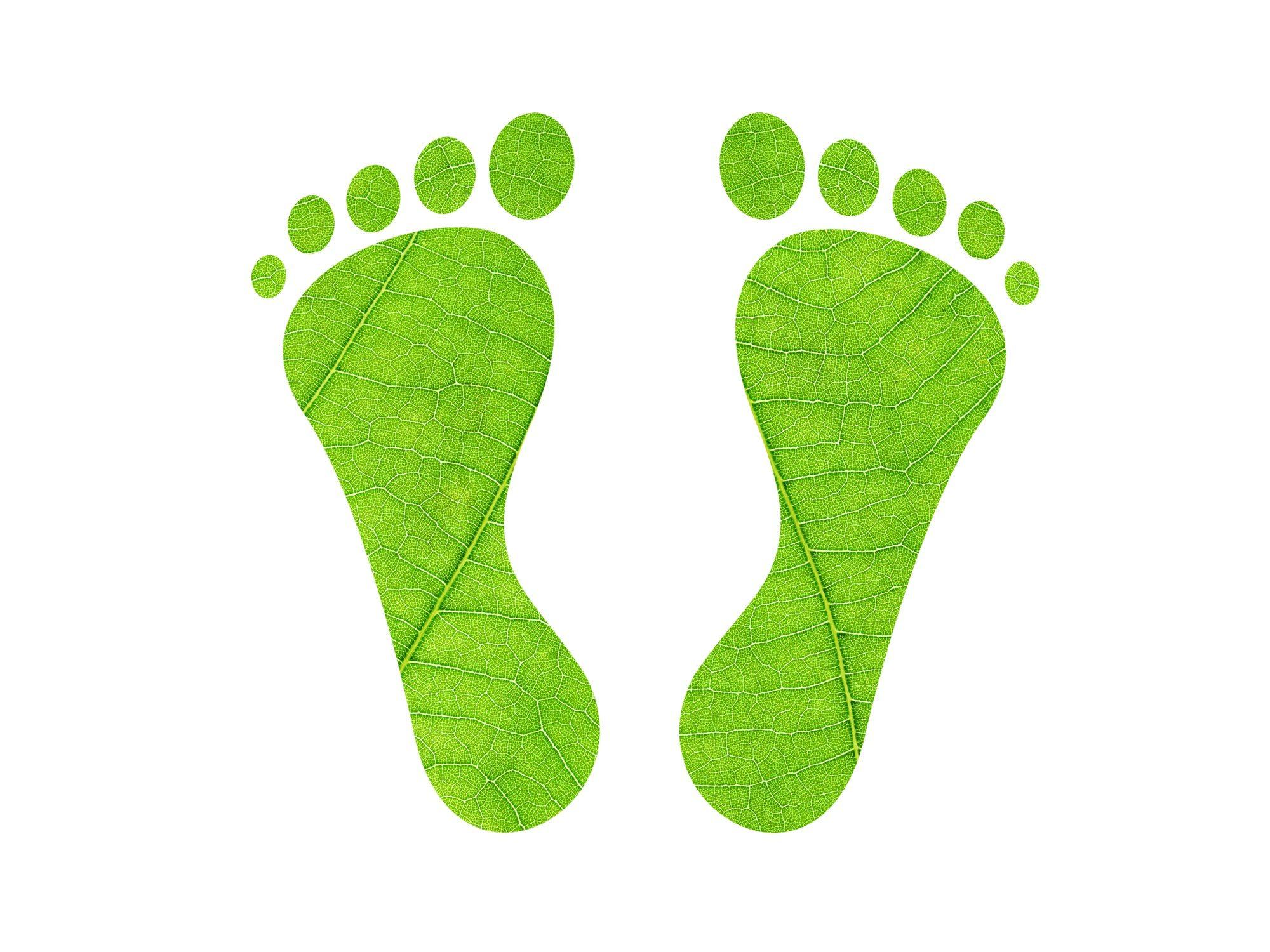 Glossary of Sustainable Living Terms - PlushBeds