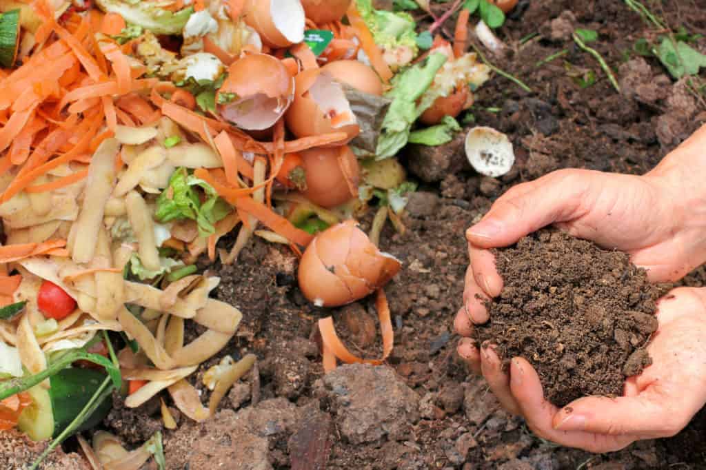 Composting at Home: Organic Materials for a Healthier Garden - PlushBeds