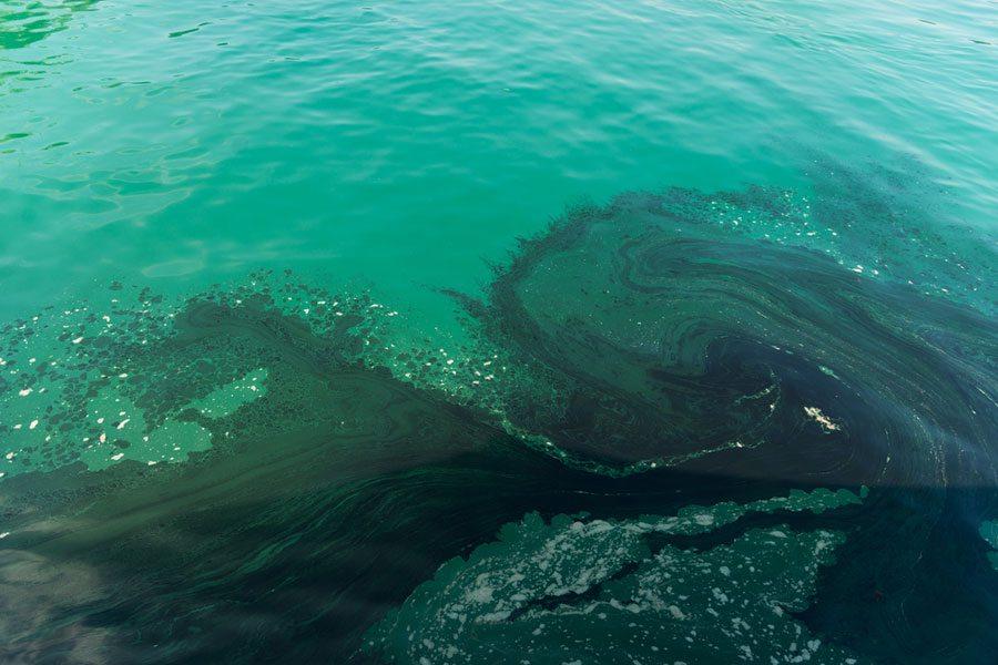 THE SEA WATER is the most widespread substance on the Earth. It