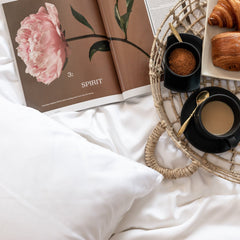 Organic Bamboo Sateen Pillowcase Set - PlushBeds