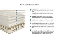 Organic Latex Mattress - The Botanical Bliss - PlushBeds