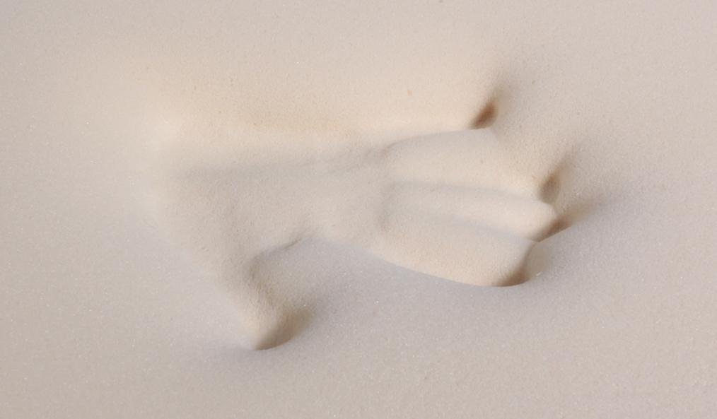 Sofa Bed Mattress Memory Foam PlushBeds