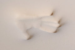 Premium Memory Foam Topper - PlushBeds